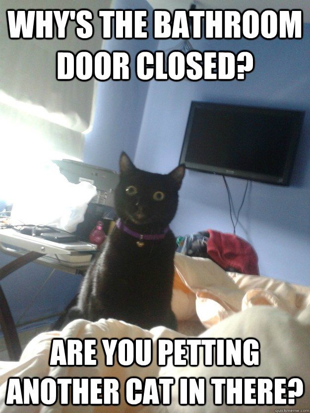 why's the bathroom door closed?  are you petting another cat in there? - why's the bathroom door closed?  are you petting another cat in there?  overly attached cat