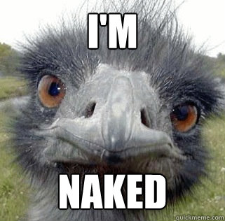 I'M NAKED - I'M NAKED  Seeing Ostrich