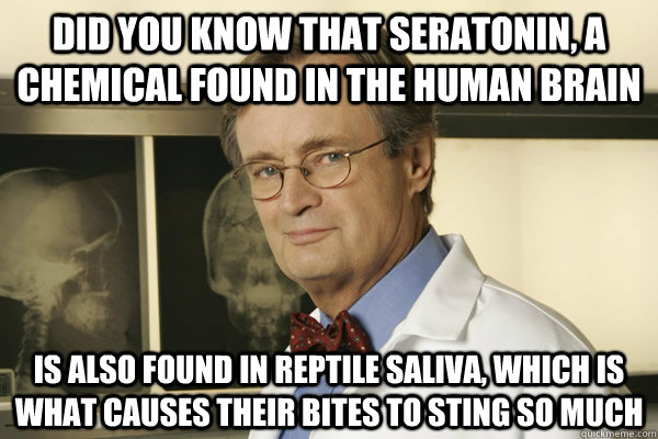 Did you know that seratonin, a chemical found in the human brain is also found in reptile saliva, which is what causes their bites to sting so much - Did you know that seratonin, a chemical found in the human brain is also found in reptile saliva, which is what causes their bites to sting so much  Fun Fact Advice Mallard