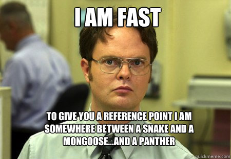 I am fast To give you a reference point I am somewhere between a snake and a mongoose…and a panther - I am fast To give you a reference point I am somewhere between a snake and a mongoose…and a panther  Schrute