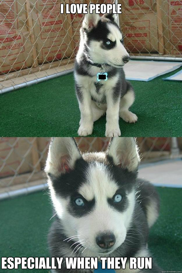 i love people especially when they run  Insanity puppy