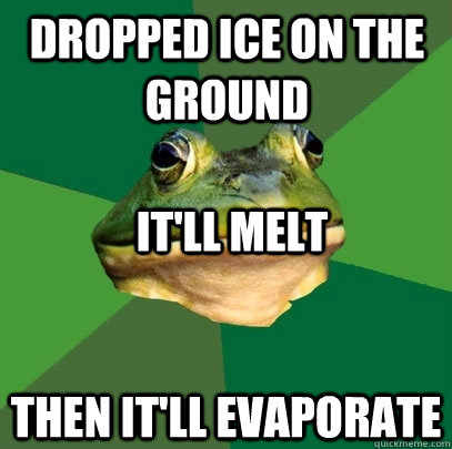 dropped ice on the ground then it'll evaporate it'll melt - dropped ice on the ground then it'll evaporate it'll melt  Foul Bachelor Frog