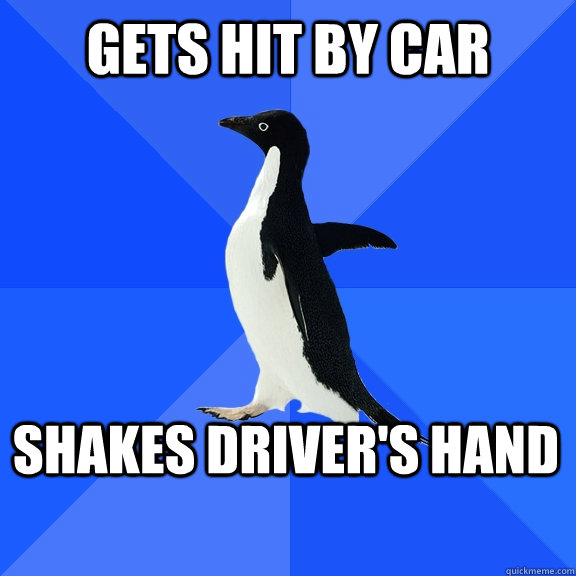 Gets hit by car Shakes driver's hand   - Gets hit by car Shakes driver's hand    Socially Awkward Penguin