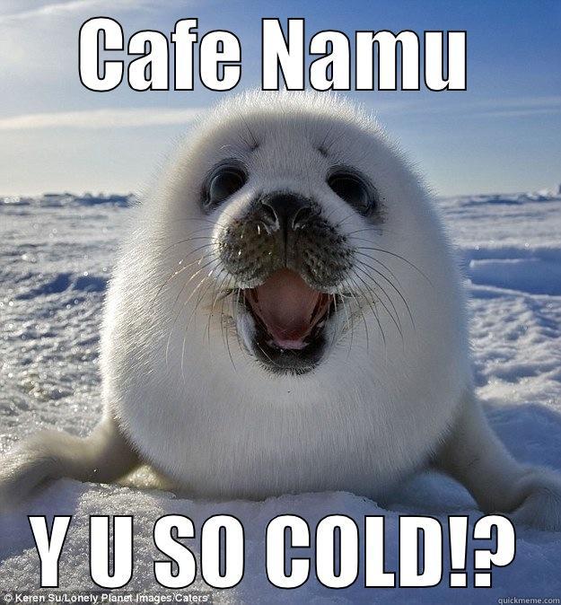 CAFE NAMU Y U SO COLD!? Easily Pleased Seal
