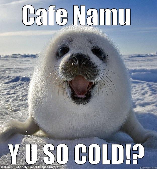 I cannot feel my feet. - CAFE NAMU Y U SO COLD!? Easily Pleased Seal