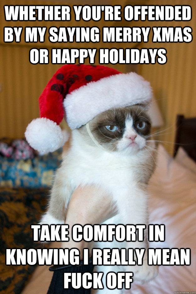 Whether you're offended by my saying Merry Xmas or Happy Holidays Take comfort in knowing I really mean fuck off  Grumpy xmas