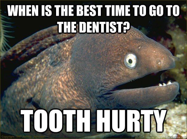 When is the best time to go to the dentist? tooth hurty  Bad Joke Eel