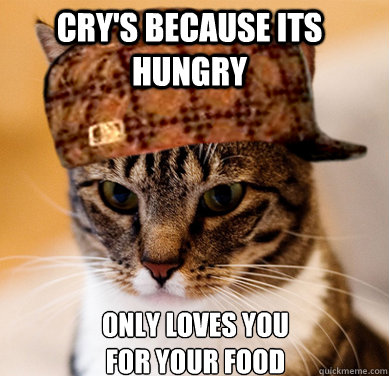 Cry's because its hungry Only loves you for your food  Scumbag Cat