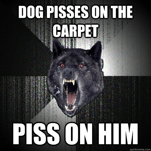DOG PISSES ON THE CARPET PISS ON HIM  Insanity Wolf