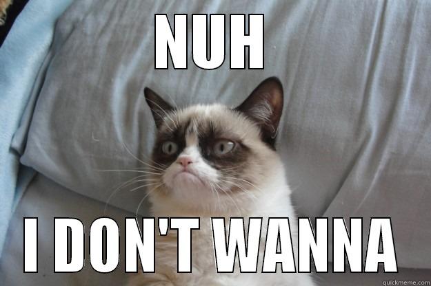 Nuh i don't wanna - Grumpy cat - NUH I DON'T WANNA Grumpy Cat