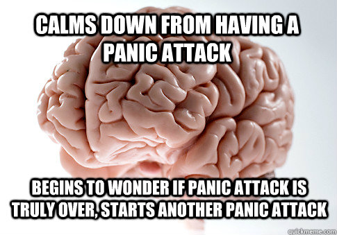 CALMS DOWN FROM HAVING A PANIC ATTACK BEGINS TO WONDER IF PANIC ATTACK IS TRULY OVER, STARTS ANOTHER PANIC ATTACK - CALMS DOWN FROM HAVING A PANIC ATTACK BEGINS TO WONDER IF PANIC ATTACK IS TRULY OVER, STARTS ANOTHER PANIC ATTACK  Scumbag Brain
