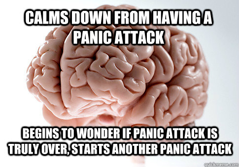CALMS DOWN FROM HAVING A PANIC ATTACK BEGINS TO WONDER IF PANIC ATTACK IS TRULY OVER, STARTS ANOTHER PANIC ATTACK  Scumbag Brain