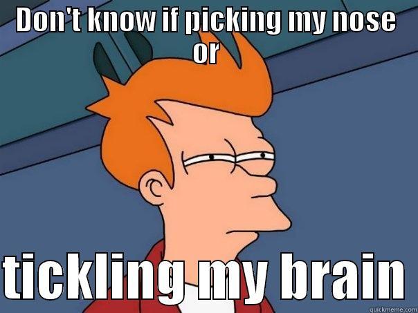 DON'T KNOW IF PICKING MY NOSE OR  TICKLING MY BRAIN Futurama Fry