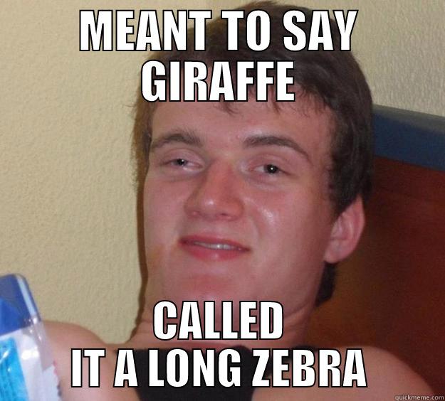 MEANT TO SAY GIRAFFE CALLED IT A LONG ZEBRA 10 Guy