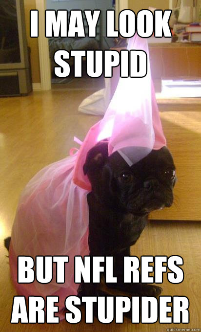 i may look stupid but nfl refs are stupider  Stupid NFL Refs