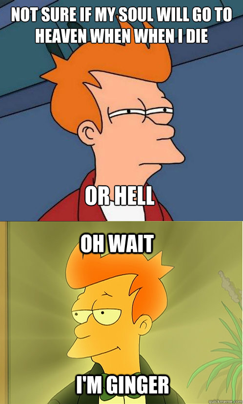 Not sure if my soul will go to heaven when when I die Or hell oh wait I'm ginger  Enlightened Fry