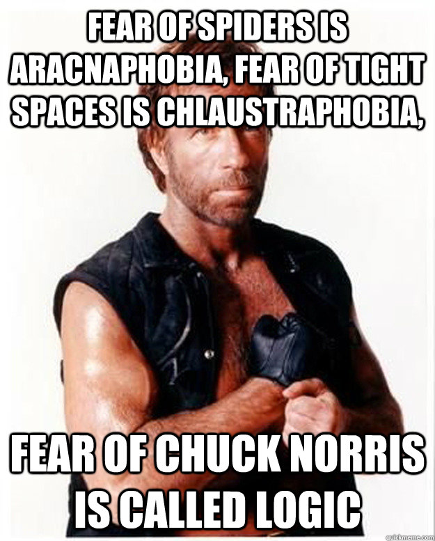 Fear of spiders is aracnaphobia, fear of tight spaces is chlaustraphobia,  fear of Chuck Norris is called Logic   Chuck Norris