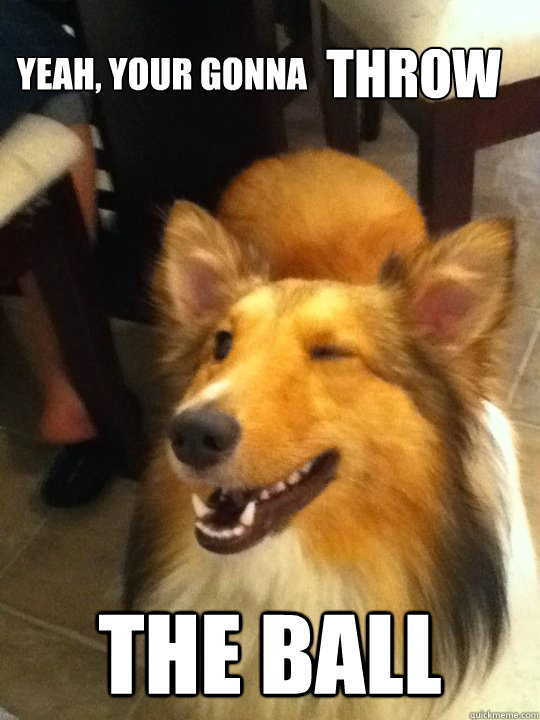 Yeah, your gonna  the ball throw  implying dog