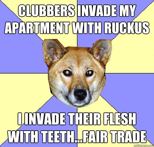 Clubbers invade my apartment with ruckus I invade their flesh with teeth...fair trade - Clubbers invade my apartment with ruckus I invade their flesh with teeth...fair trade  DAE Dingo
