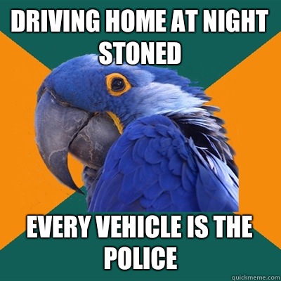 Driving home at night stoned Every vehicle is the police  Paranoid Parrot