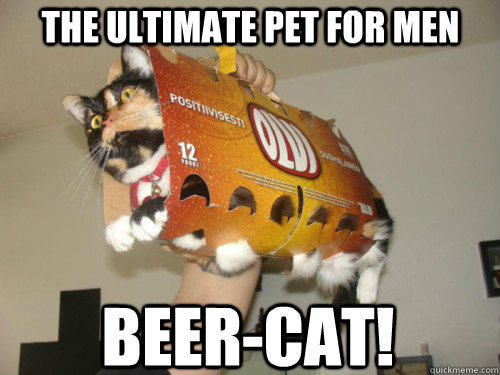 The ultimate pet for men  Beer-Cat!   The ultimate pet for men