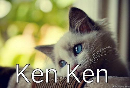  KEN KEN First World Problems Cat