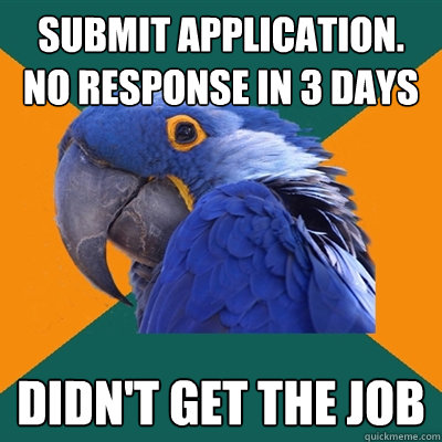 SUBMIT APPLICATION. NO RESPONSE IN 3 DAYS DIDN'T GET THE JOB  Paranoid Parrot