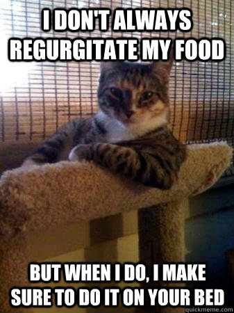 I don't always regurgitate my food but when I do, I make sure to do it on your bed  The Most Interesting Cat in the World