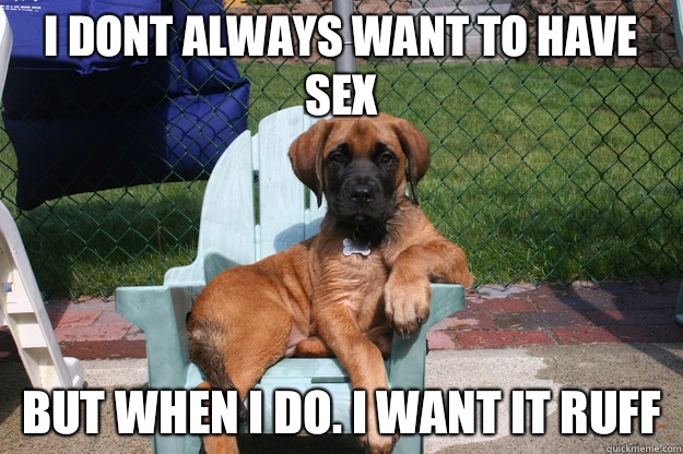 I dont always want to have sex But when i do. I want it ruff  The Most Interesting Dog in the World