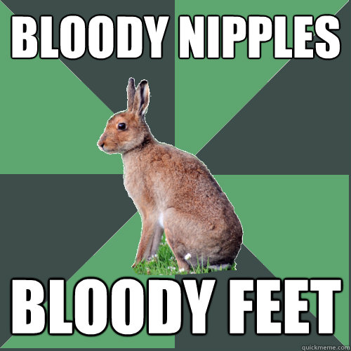 Bloody Nipples Bloody feet  Harrier Hare
