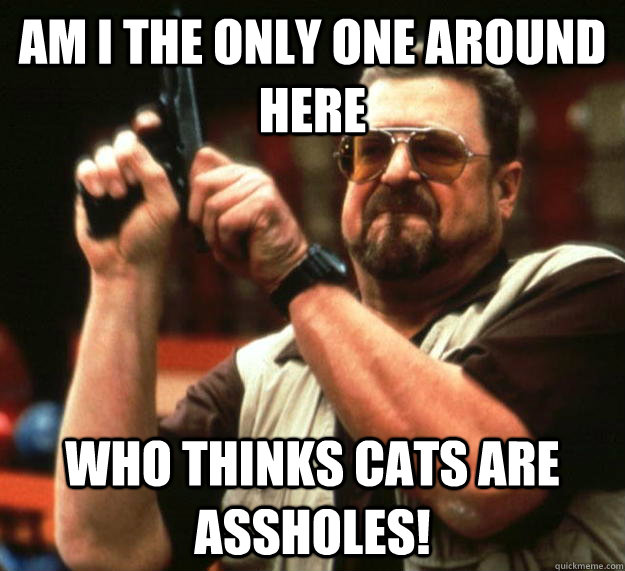 am I the only one around here Who thinks cats are assholes! - am I the only one around here Who thinks cats are assholes!  Angry Walter