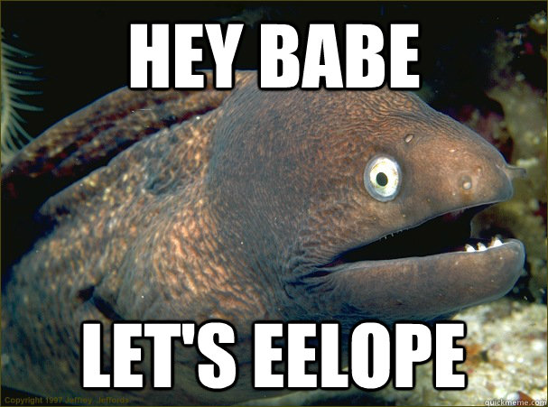 Hey babe Let's eelope  Bad Joke Eel