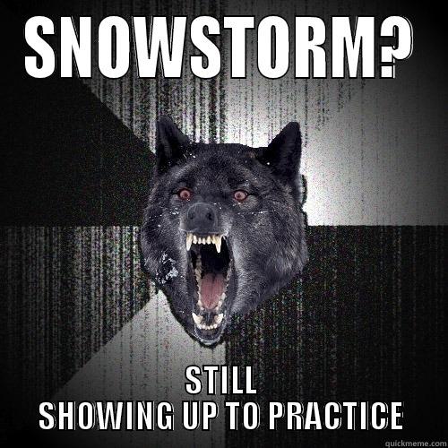 SNOWSTORM? STILL SHOWING UP TO PRACTICE Insanity Wolf