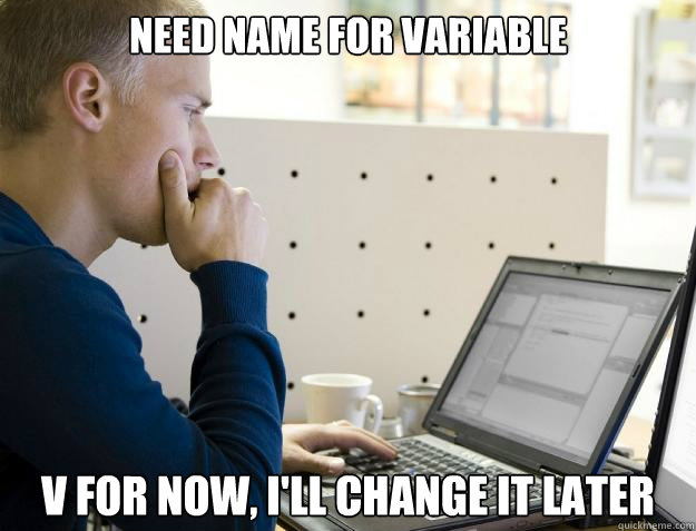 NEED NAME FOR VARIABLE V FOR NOW, I'LL CHANGE IT LATER  Programmer