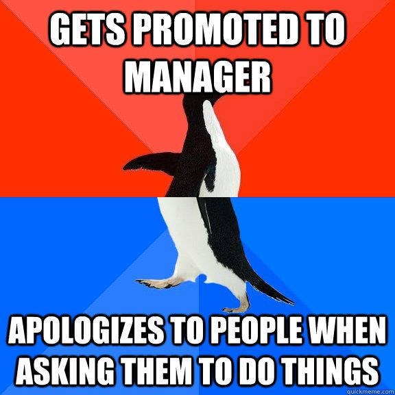 Gets promoted to manager Apologizes to people when asking them to do things  Socially Awesome Awkward Penguin