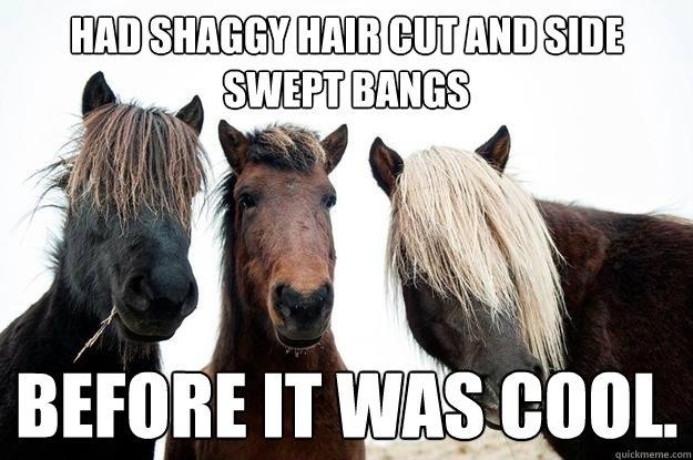Had shaggy hair cut and side swept bangs Before it was cool. - Had shaggy hair cut and side swept bangs Before it was cool.  Hipster Horses