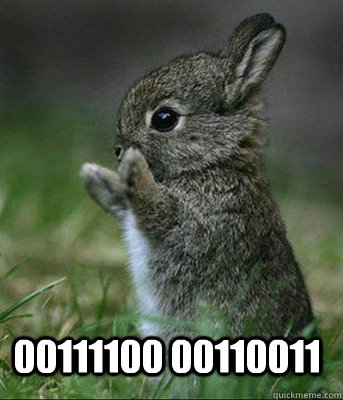 00111100 00110011 - 00111100 00110011  Cute bunny