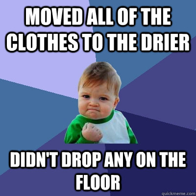 Moved all of the clothes to the drier didn't drop any on the floor - Moved all of the clothes to the drier didn't drop any on the floor  Misc