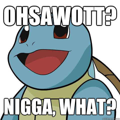 Ohsawott? Nigga, what? - Ohsawott? Nigga, what?  Squirtle