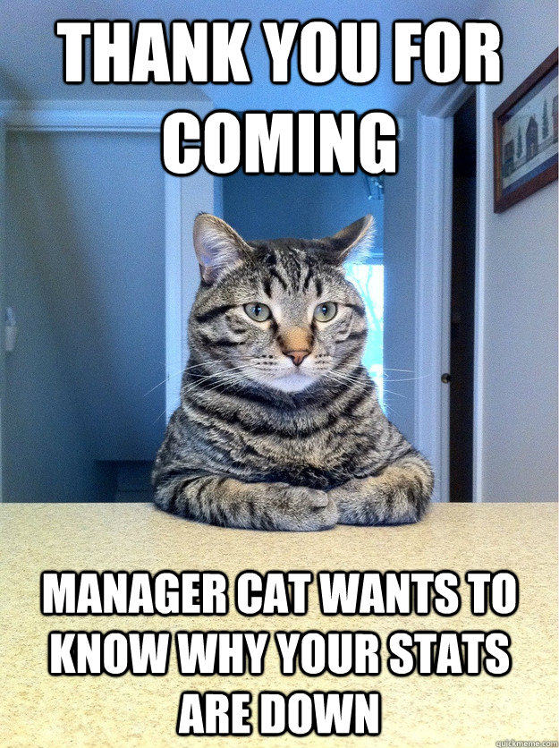 Thank you for coming manager cat wants to know why your stats are down - Thank you for coming manager cat wants to know why your stats are down  Chris Hansen Cat