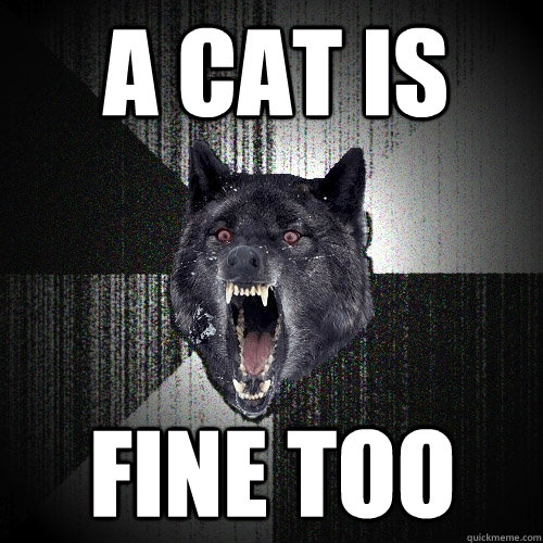 A cat is fine too  Insanity Wolf