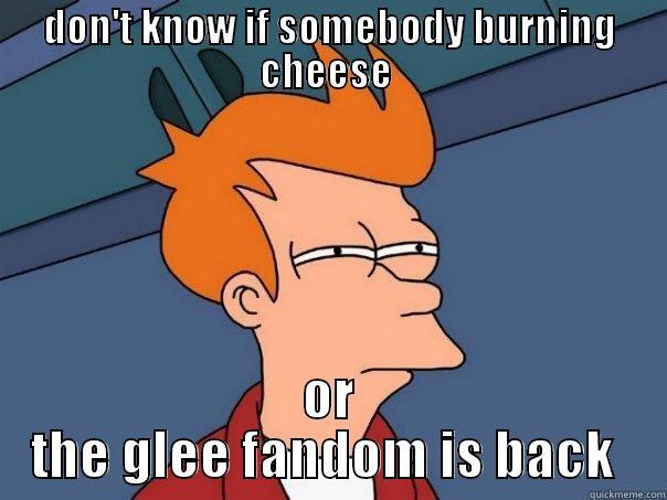 DON'T KNOW IF SOMEBODY BURNING CHEESE  OR THE GLEE FANDOM IS BACK  Futurama Fry