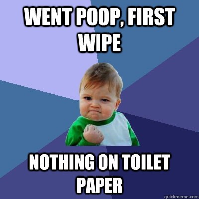 Went poop, first wipe nothing on toilet paper - Went poop, first wipe nothing on toilet paper  Success Kid