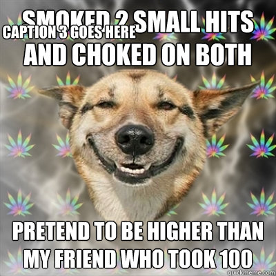 smoked 2 small hits and choked on both pretend to be higher than my friend who took 100 Caption 3 goes here  Stoner Dog