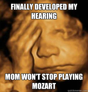 finally developed my hearing mom won't stop playing mozart  