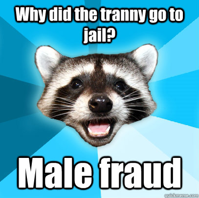 Why did the tranny go to jail? Male fraud - Why did the tranny go to jail? Male fraud  Lame Pun Coon