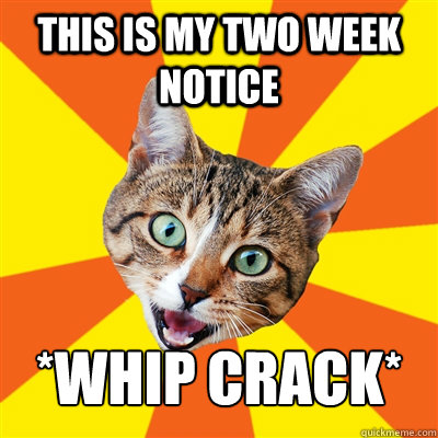 This is my two week notice *Whip crack*  Bad Advice Cat