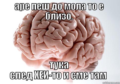 сашо е гении - АРЕ ПЕШ ДО МОЛА ТО Е БЛИЗО. ТУКА СЛЕД ХЕИ-ТО И СМЕ ТАМ  Scumbag Brain