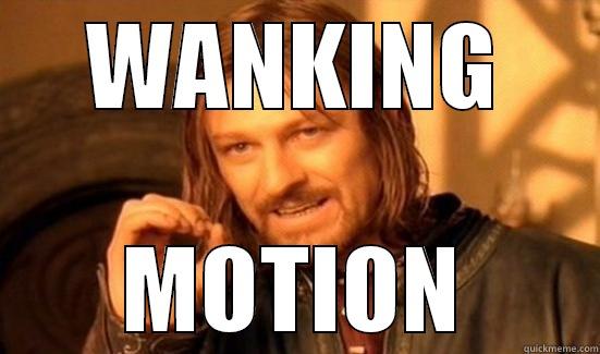 WANKING MOTION Boromir