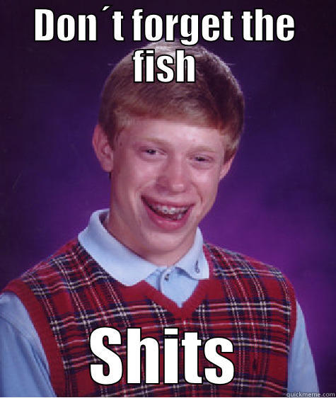 DON´T FORGET THE FISH SHITS Bad Luck Brian